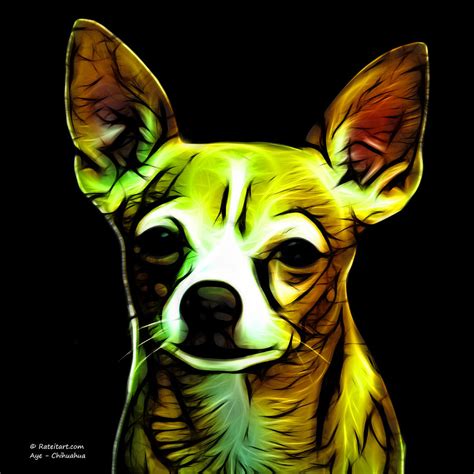 Aye Chihuahua Digital Art By James Ahn