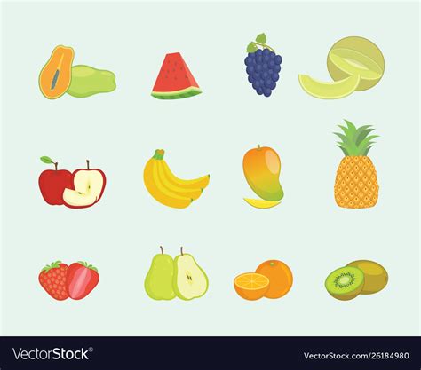 Fruit Set Collection With Various Shape And Vector Image