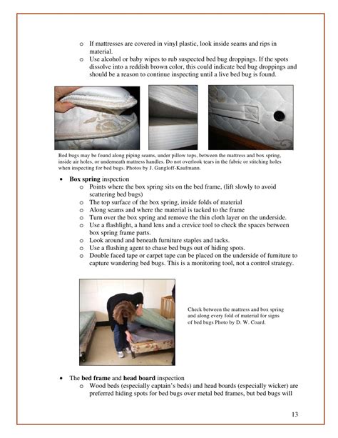 Bed Bug Guidelines For Shelters And Group Living Facilities