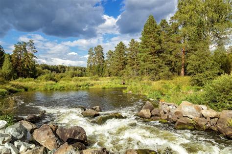 Summer Landscape On The Banks Of The Ural River Irtysh Russia Stock