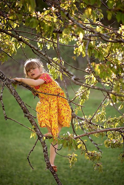 Person Human Child Girl Dress Tree Aesthetic Climb Climbing