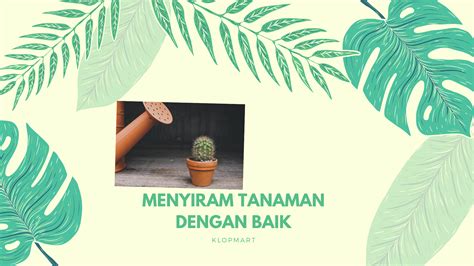 Mengenal pasti dan menghuraikan kesan guna tanah tersebut terhadap alam sekitar yang telah dikaji di no 3. Langkah-langkah Menyiram Tanaman yang Baik | Klopmart