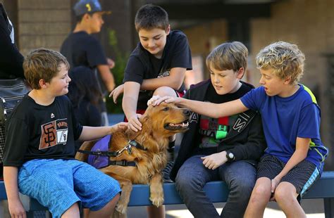 Therapy Dogs Becoming Fixtures In Santa Rosa Schools