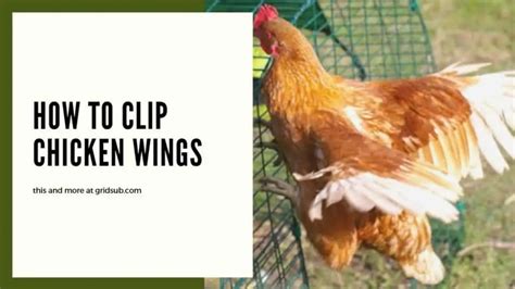 How To Clip Chicken Wings Grid Sub