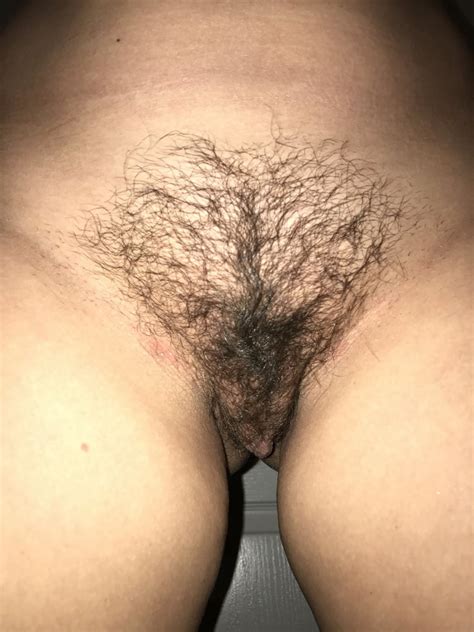 Sexy Small Tit Milf Sucks Cock Hairy Pussy And Ass Spread 161 Pics