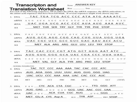 Transcription is the first process by which the dna code is used to build polypeptides. Transcription and Translation Practice Worksheet New ...
