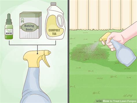 How to get rid of & treat grass fungus. 3 Ways to Treat Lawn Fungus - wikiHow