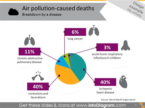Air Pollution Caused Deaths By Disease Infographics