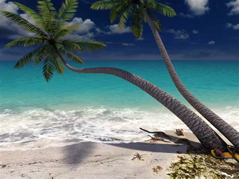 Sandy Beach 3d Screensaver Tranquility Endless Ocean Sun Soaked Sand A Light Breeze The