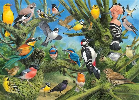 Eurographics Garden Birds Jigsaw Puzzle 1000 Pieces Pdk