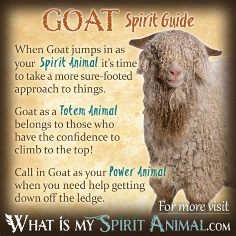 Spirit Totem And Power Animals Spirit Animal Meanings
