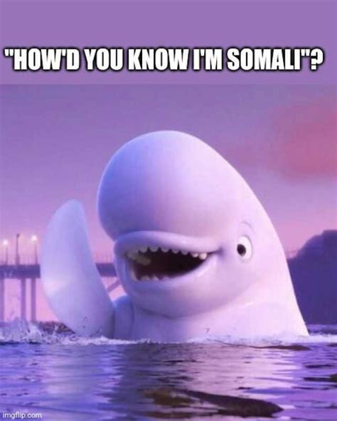 Howd You Know Im Somali