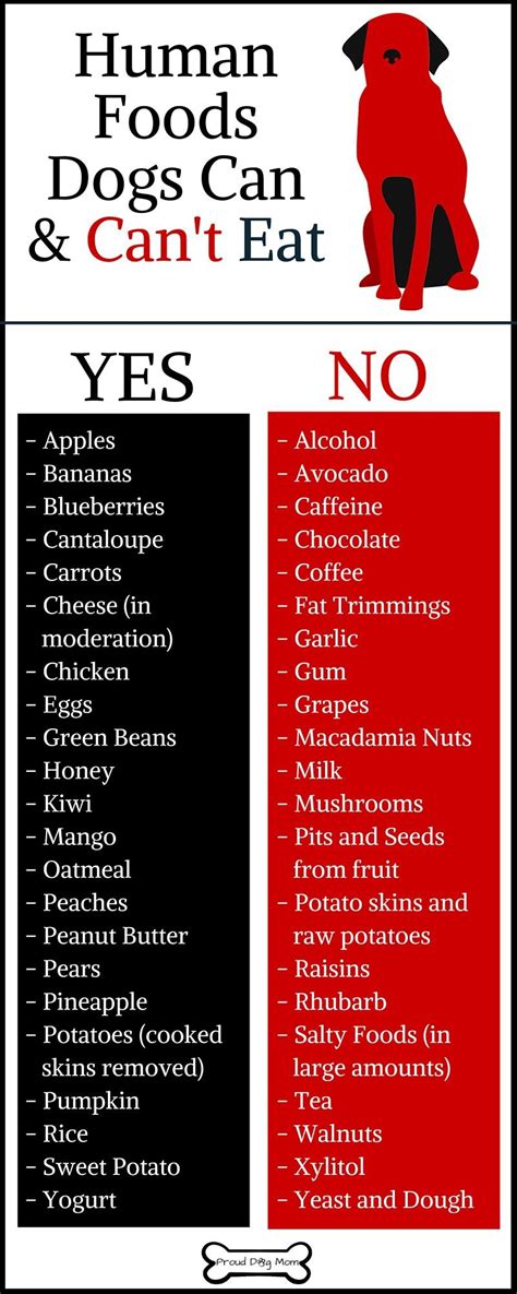 Dogs can safely eat most human food. The Human Foods Dogs Can Eat (Plus, The Ones They Can't ...