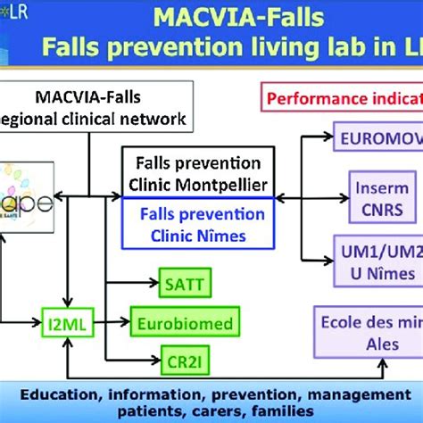 (PDF) Living Lab Falls-MACVIA-LR: The falls prevention ...