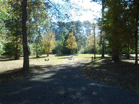 Places jasper, texas parknational park martin dies, jr. Martin Dies, Jr. State Park Campsites with Water — Texas ...