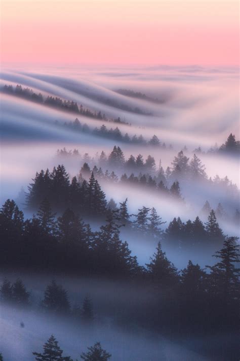 Itap Of Rolling Fog At Mount Tamalpais Infp