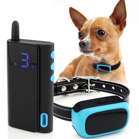 We did not find results for: eXuby - Shock Collar for Small Dogs 5-15lbs Rechargeable ...