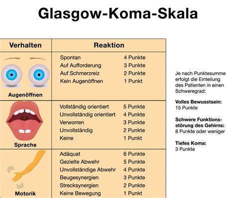 Jahrestag des sieges im großen vaterländischen krieg in moskau (deutsch). Koma