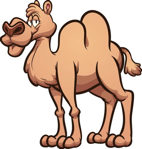 Download 78 royalty free camel milk vector images. Best Camel Cartoon Illustrations, Royalty-Free Vector ...