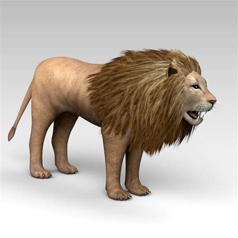 Lion 3d 3ds