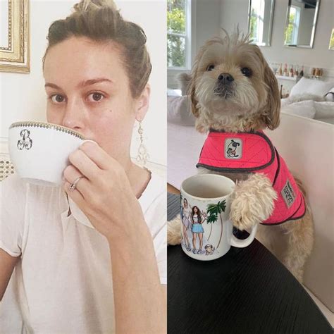 Brie As A Puppy Shared A Photo On Instagram ☕️🐶 Brielarson Puppy