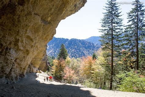 Alum Cave Trail Review And Guide With Insider Tips