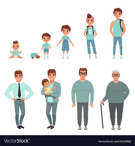 Life Cycles Of Man Stages Growing Up From Baby Vector Image