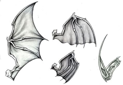Simple Bat Wing Drawing Draw It Out
