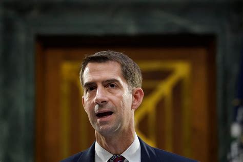 Trump Lashes Out At Top Ally Sen Cotton Ahead Of Wednesday S Electoral College Vote Count