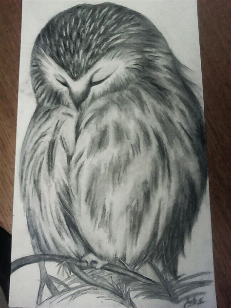 Sleeping Owl Drawing By Jodie Yu On Instagram Owl Owldrawing