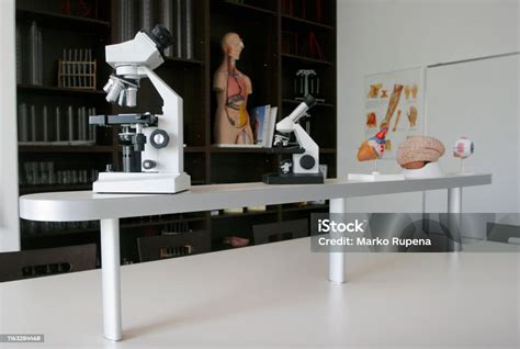 Educational Microscopes And Human Organs In Biology Classroom Stock