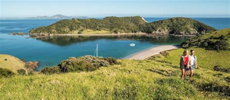Musim gugur di new zealand. Pengembaraan Memburu Lupins Di New Zealand - Pakej ...