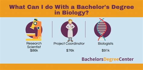 What Can I Do With A Bachelor S In Biology Bachelors Degree Center
