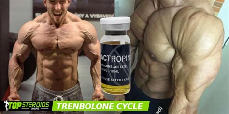 Ciclo de esteroides Tren trembolona antes y después del resultado