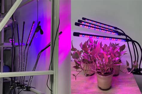 How To Hang Indoor Grow Lights For Plants