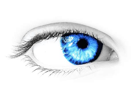 Collection Of Eyes Hd Png Pluspng