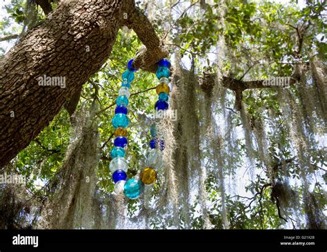 Oak Tree In New Orleans City Park With Murano Glass Rendition Of Giant