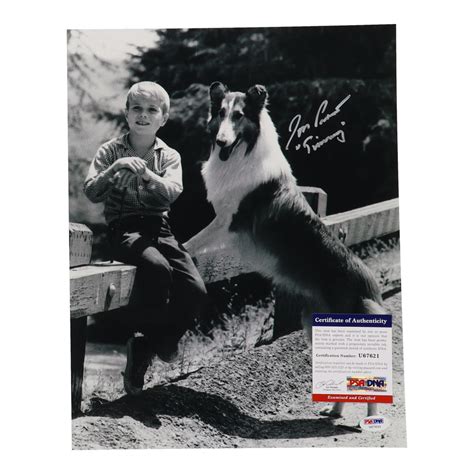 Jon Provost Signed Lassie 11x14 Photo Inscribed Timmy Psa Pristine Auction