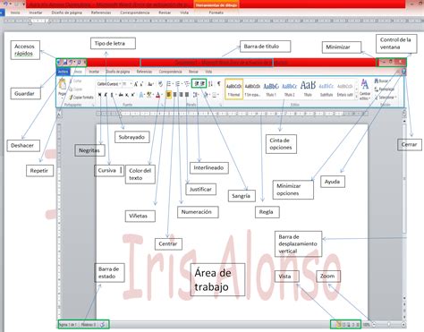 Aura En Primaria Partes De Word