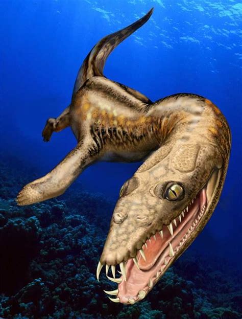 A Sea Creature That Is Older Than Dinosaurs 1 Min Read