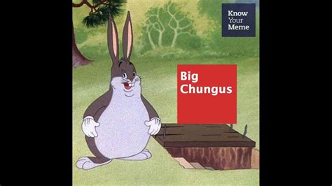 Big Chungus Meme By Cattomemesaredebest Memedroid