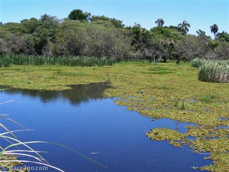 More Beautiful Nature Photos From Iberá Wetlands Dare2go