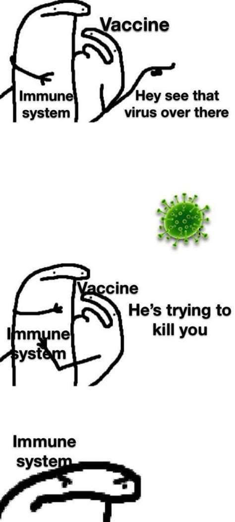 Immune System Protecc Rwholesomememes Wholesome Memes Know Your Meme