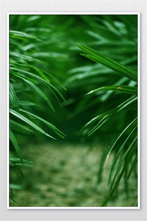Jun 17, 2021 · wallpaper yang terlihat seperti lipatan kain ini jauh berbeda dibandingkan wallpaper dengan logo windows yang menjadi pilihan default di windows 10. Paling Keren 16+ Wallpaper Warna Hijau Botol - Rona Wallpaper