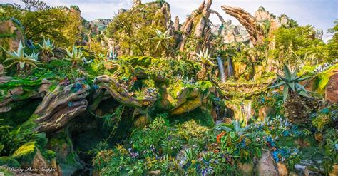 7 Reasons Why Pandora The World Of Avatar Is A Must See How To Disney