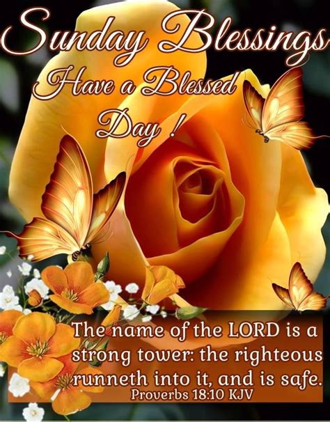 Sunday Blessings Have A Blessed Day Religious Quote Pictures Photos