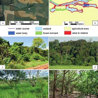 Environmental visualization involves technology and processes designed to provide a realistic view of environmental futures to support public understanding and debate on landscape issues. (PDF) Biodiversity Conservation of Forests and their ...