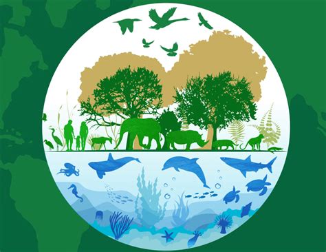 O dia mundial do meio ambiente é comemorado anualmente a 5 de junho e tem como objetivo fomentar a preservação do meio ambiente. CM Paredes / Pelouro do Ambiente da Câmara de Paredes ...