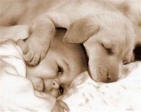 33 Cute Pictures Of Puppies And Babies Being Super Cute