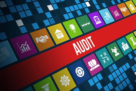 Auditing Your Software With A Software House